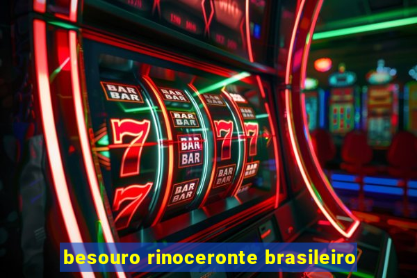 besouro rinoceronte brasileiro